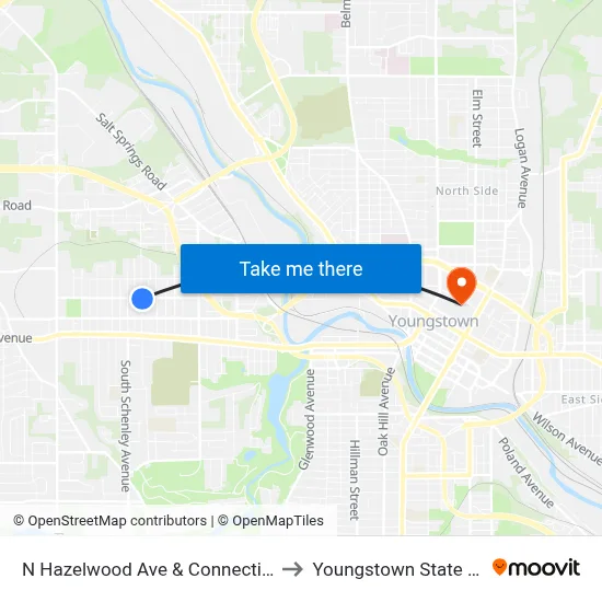 N Hazelwood Ave & Connecticut Ave (Flag to Youngstown State University map