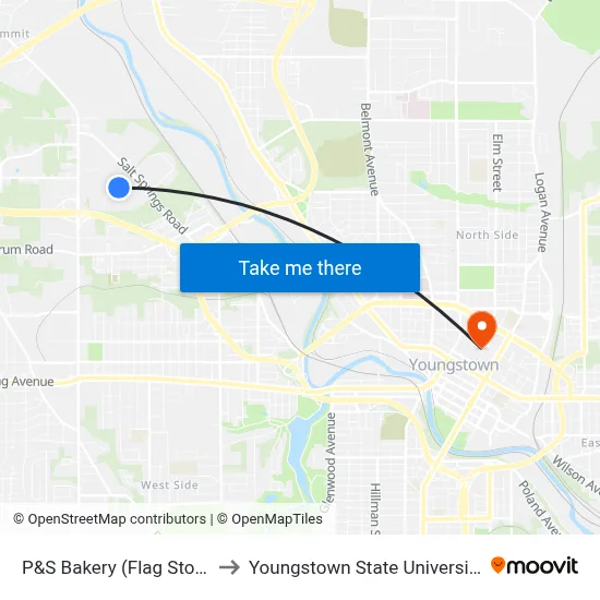 P&S Bakery (Flag Stop) to Youngstown State University map