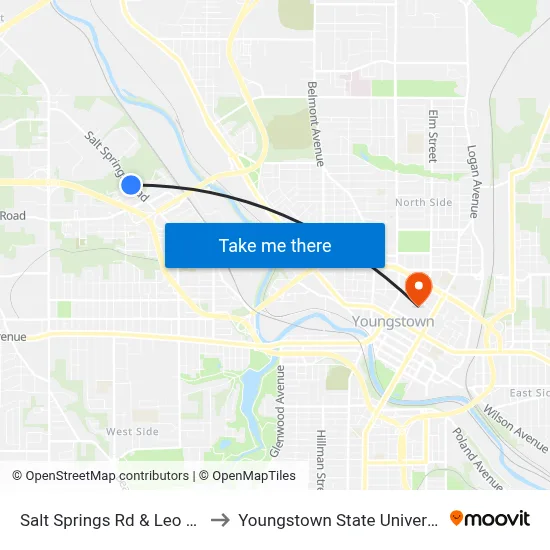 Salt Springs Rd & Leo Ave to Youngstown State University map