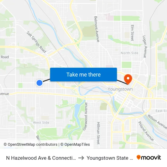 N Hazelwood Ave & Connecticut Ave (Flag to Youngstown State University map