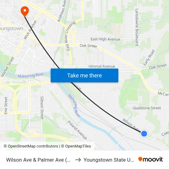 Wilson Ave & Palmer Ave (Flag Stop) to Youngstown State University map