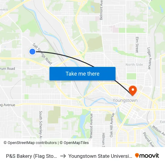 P&S Bakery (Flag Stop) to Youngstown State University map