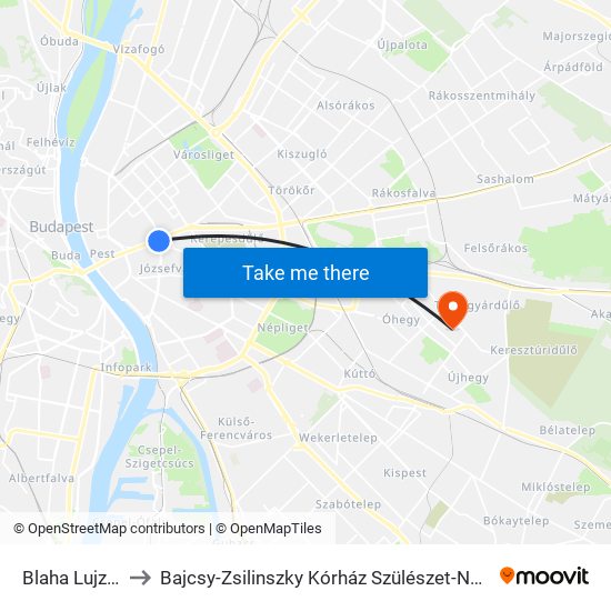 Blaha Lujza Tér M to Bajcsy-Zsilinszky Kórház Szülészet-Nőgyógyászati Osztály map