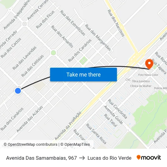 Avenida Das Samambaias, 967 to Lucas do Rio Verde map