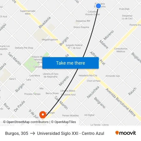 Burgos, 305 to Universidad Siglo XXI - Centro Azul map