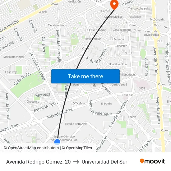 Avenida Rodrigo Gómez, 20 to Universidad Del Sur map