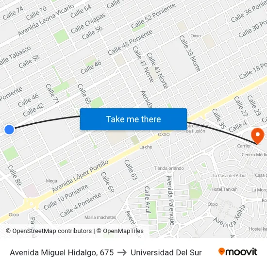 Avenida Miguel Hidalgo, 675 to Universidad Del Sur map