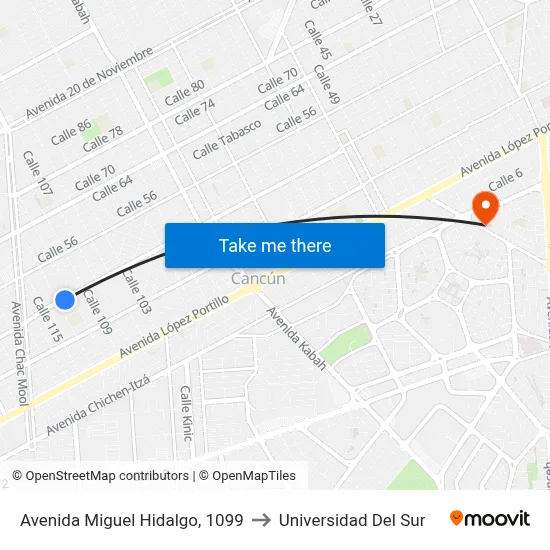 Avenida Miguel Hidalgo, 1099 to Universidad Del Sur map