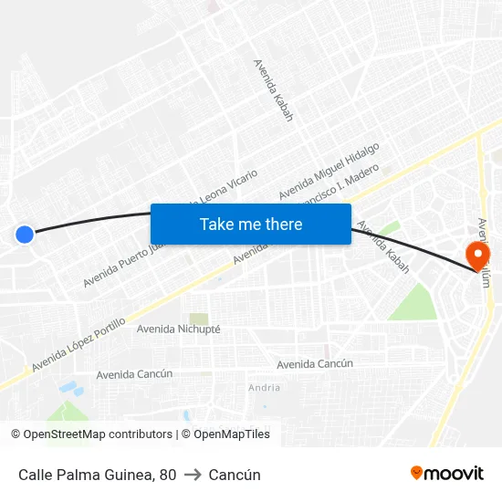 Calle Palma Guinea, 80 to Cancún map