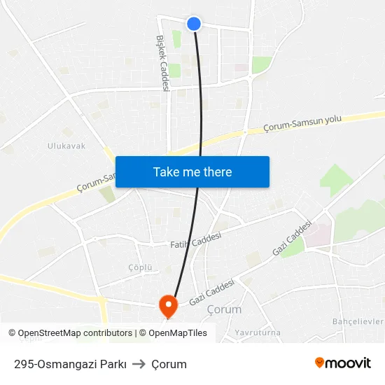 295-Osmangazi Parkı to Çorum map