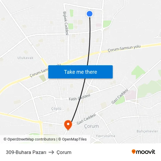 309-Buhara Pazarı to Çorum map