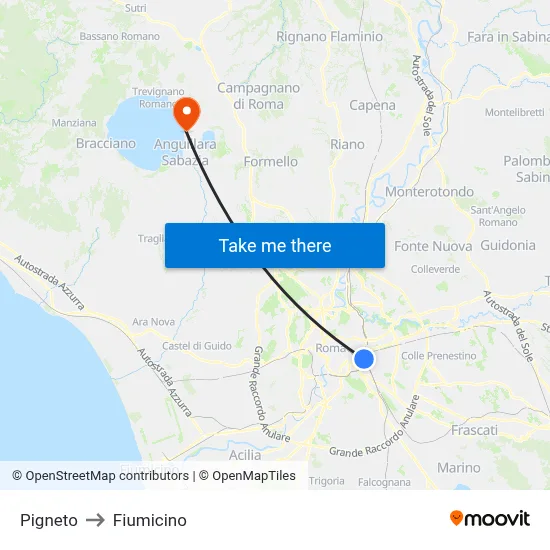 Pigneto to Fiumicino map