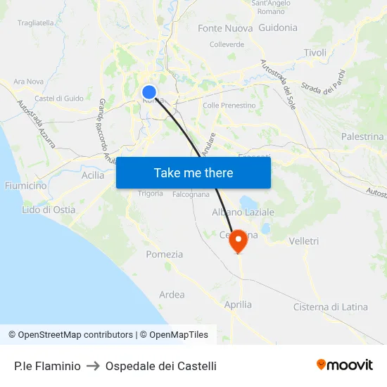 P.le Flaminio to Ospedale dei Castelli map