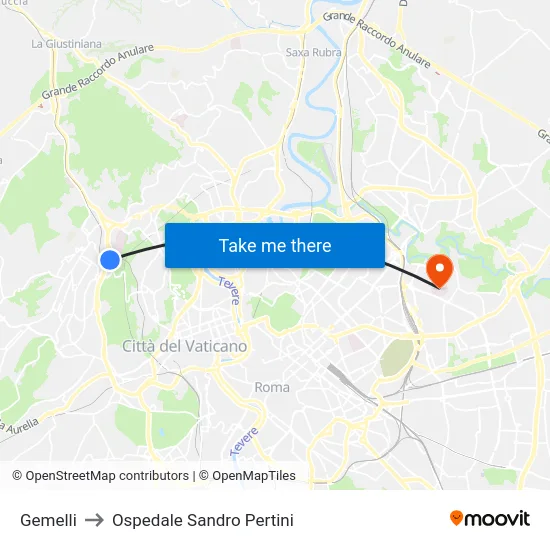 Gemelli to Ospedale Sandro Pertini map