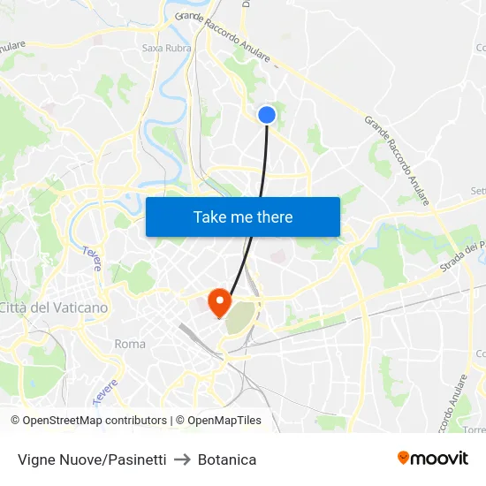 Vigne Nuove/Pasinetti to Botanica map