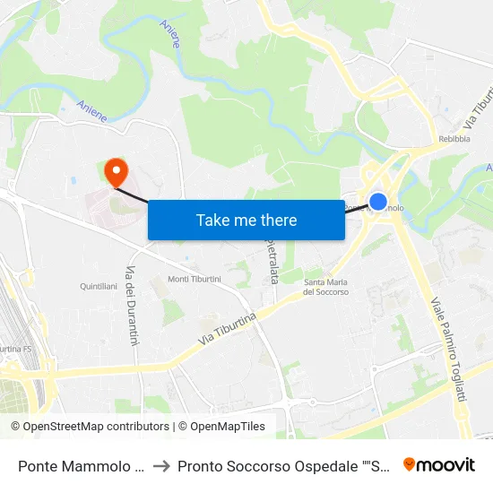 Ponte Mammolo (Mb) (Iv) to Pronto Soccorso Ospedale ""Sandro Pertini"" map