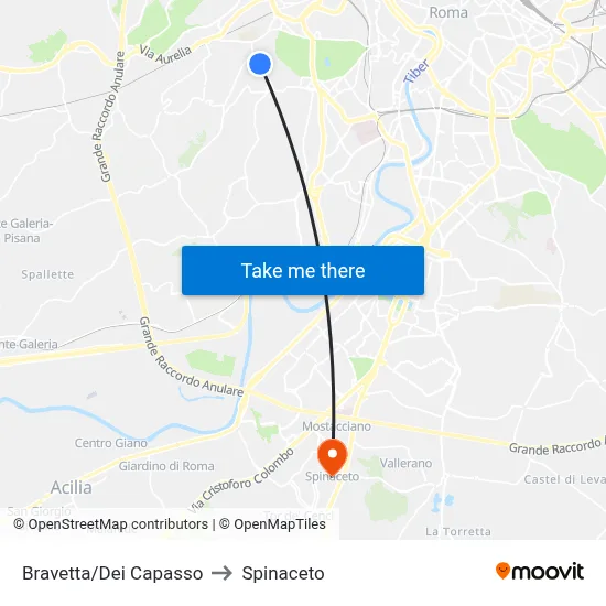 Bravetta/Dei Capasso to Spinaceto map