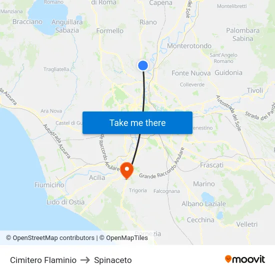 Cimitero Flaminio to Spinaceto map