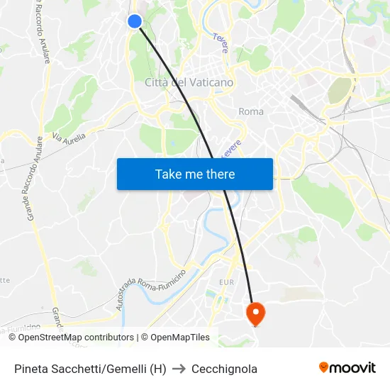 Pineta Sacchetti/Gemelli (H) to Cecchignola map