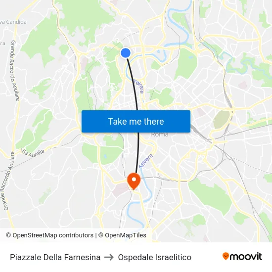 Piazzale Della Farnesina to Ospedale Israelitico map