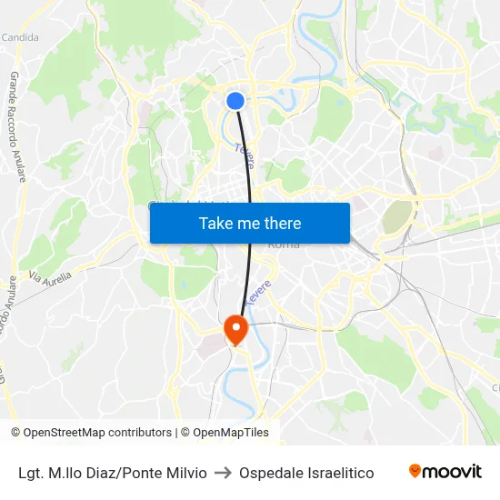 Lungotevere Marshal Diaz/Milvian Bridge to Israelitic Hospital map