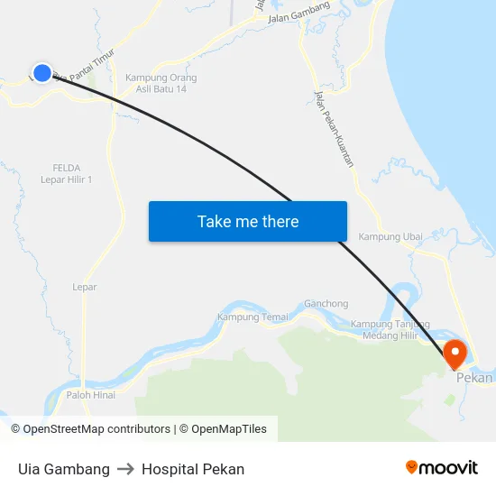 Uia Gambang to Hospital Pekan map