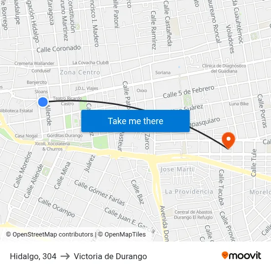 Hidalgo, 304 to Victoria de Durango map