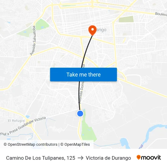 Camino De Los Tulipanes, 125 to Victoria de Durango map