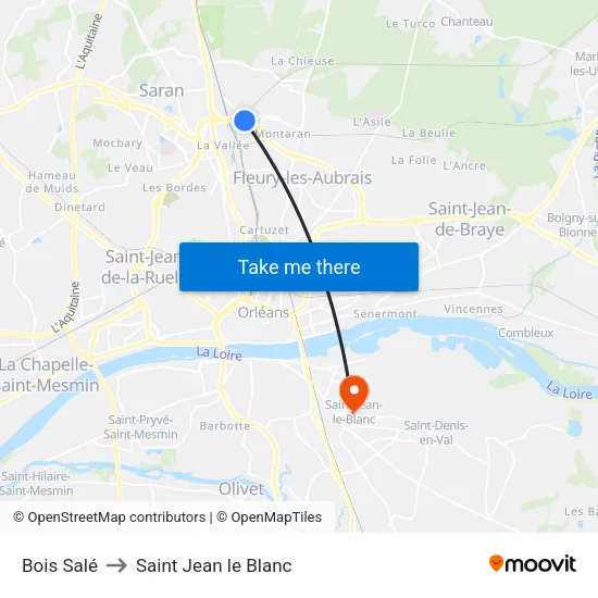 Bois Salé to Saint Jean le Blanc map