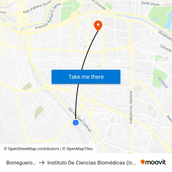 Borreguero, 24 to Instituto De Ciencias Biomédicas (Icb - Uacj) map