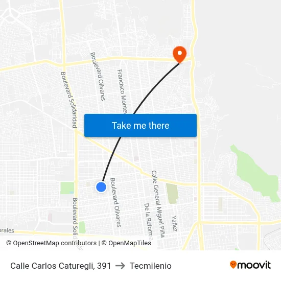 Calle Carlos Caturegli, 391 to Tecmilenio map