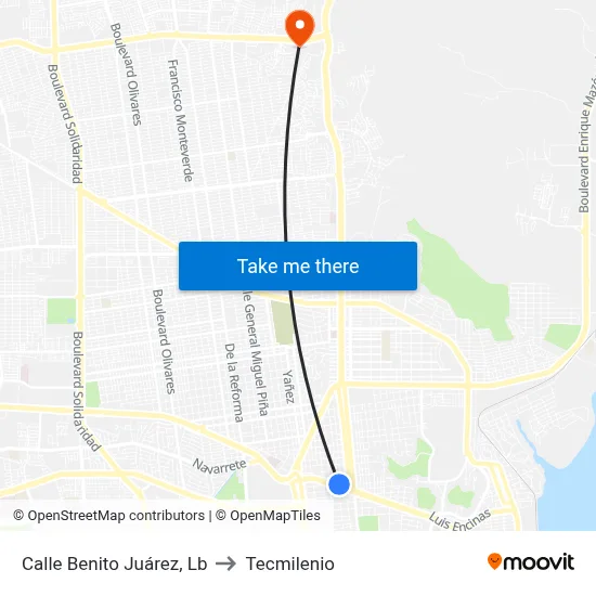 Calle Benito Juárez, Lb to Tecmilenio map