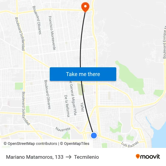 Mariano Matamoros, 133 to Tecmilenio map