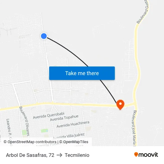 Arbol De Sasafras, 72 to Tecmilenio map