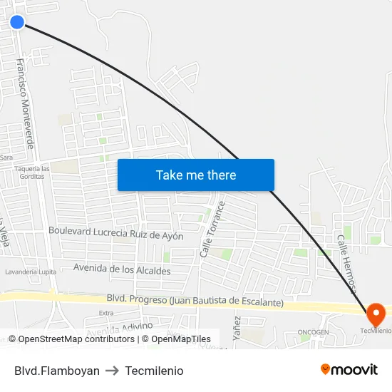 Blvd.Flamboyan to Tecmilenio map