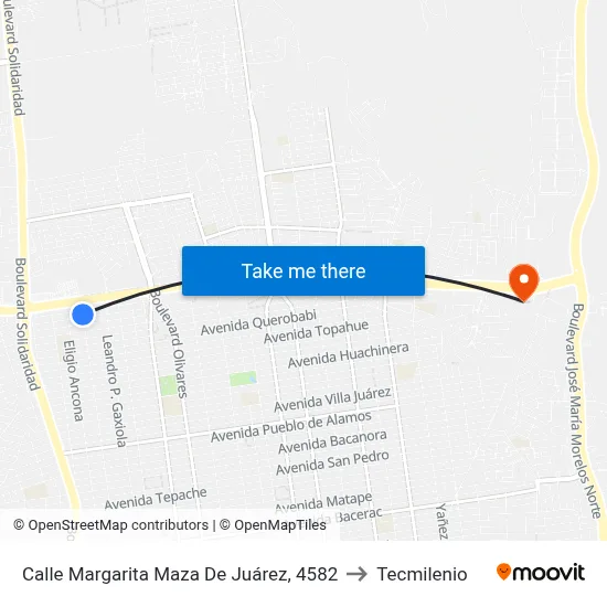 Calle Margarita Maza De Juárez, 4582 to Tecmilenio map
