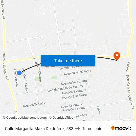 Calle Margarita Maza De Juárez, 583 to Tecmilenio map