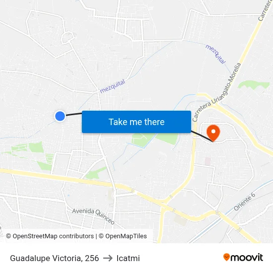 Guadalupe Victoria, 256 to Icatmi map