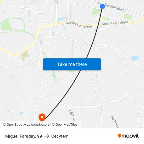Miguel Faraday, 99 to Cecytem map