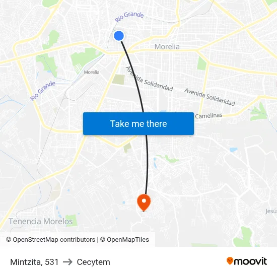 Mintzita, 531 to Cecytem map