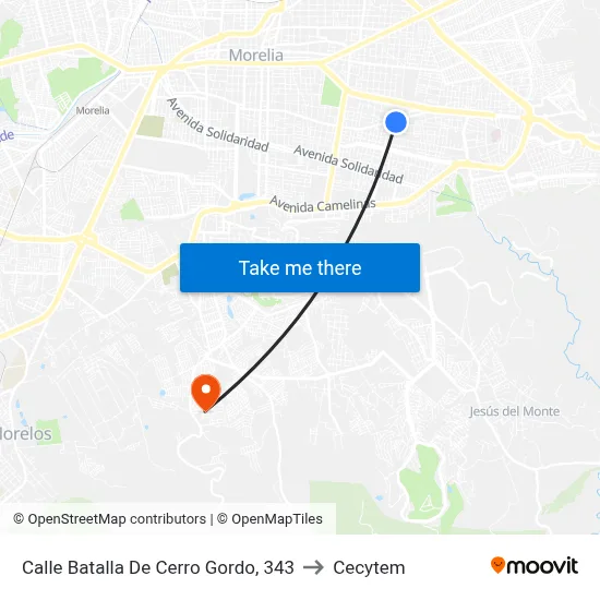 Calle Batalla De Cerro Gordo, 343 to Cecytem map