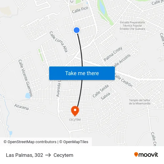 Las Palmas, 302 to Cecytem map