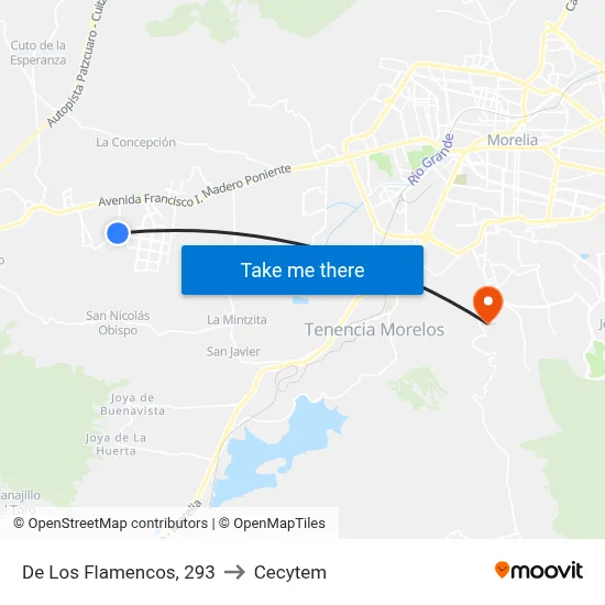 De Los Flamencos, 293 to Cecytem map