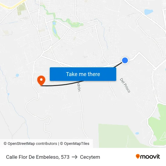 Calle Flor De Embeleso, 573 to Cecytem map