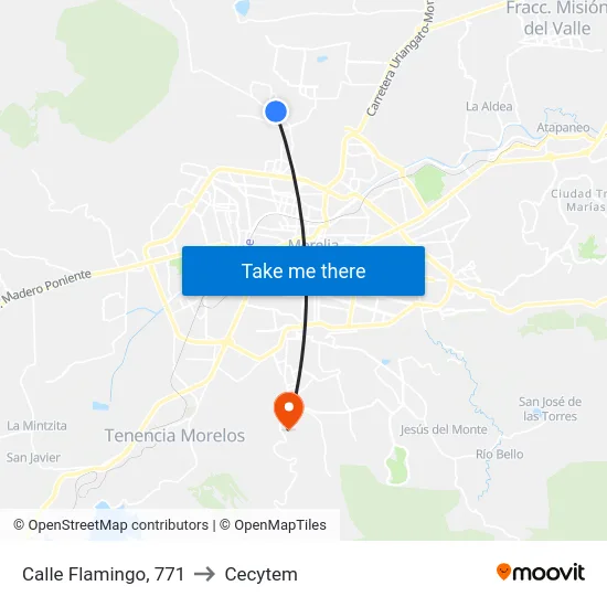 Calle Flamingo, 771 to Cecytem map