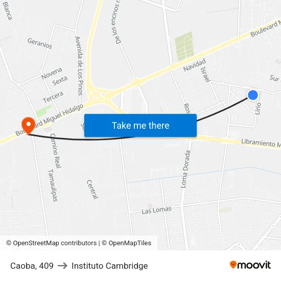 Caoba, 409 to Instituto Cambridge map