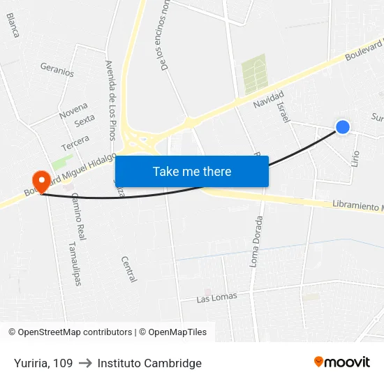 Yuriria, 109 to Instituto Cambridge map