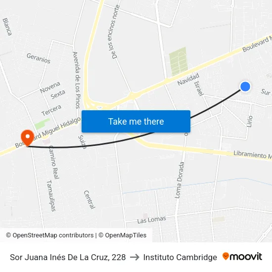 Sor Juana Inés De La Cruz, 228 to Instituto Cambridge map