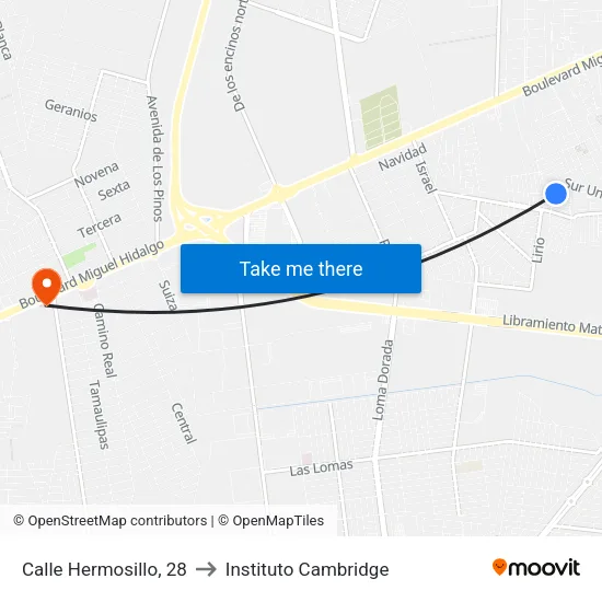 Calle Hermosillo, 28 to Instituto Cambridge map