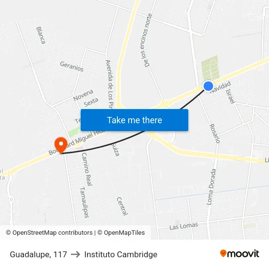 Guadalupe, 117 to Instituto Cambridge map